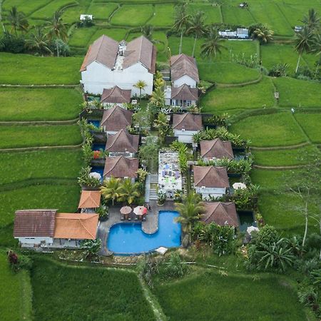 Hotel Tanta Escape Tegallalang  Exteriér fotografie