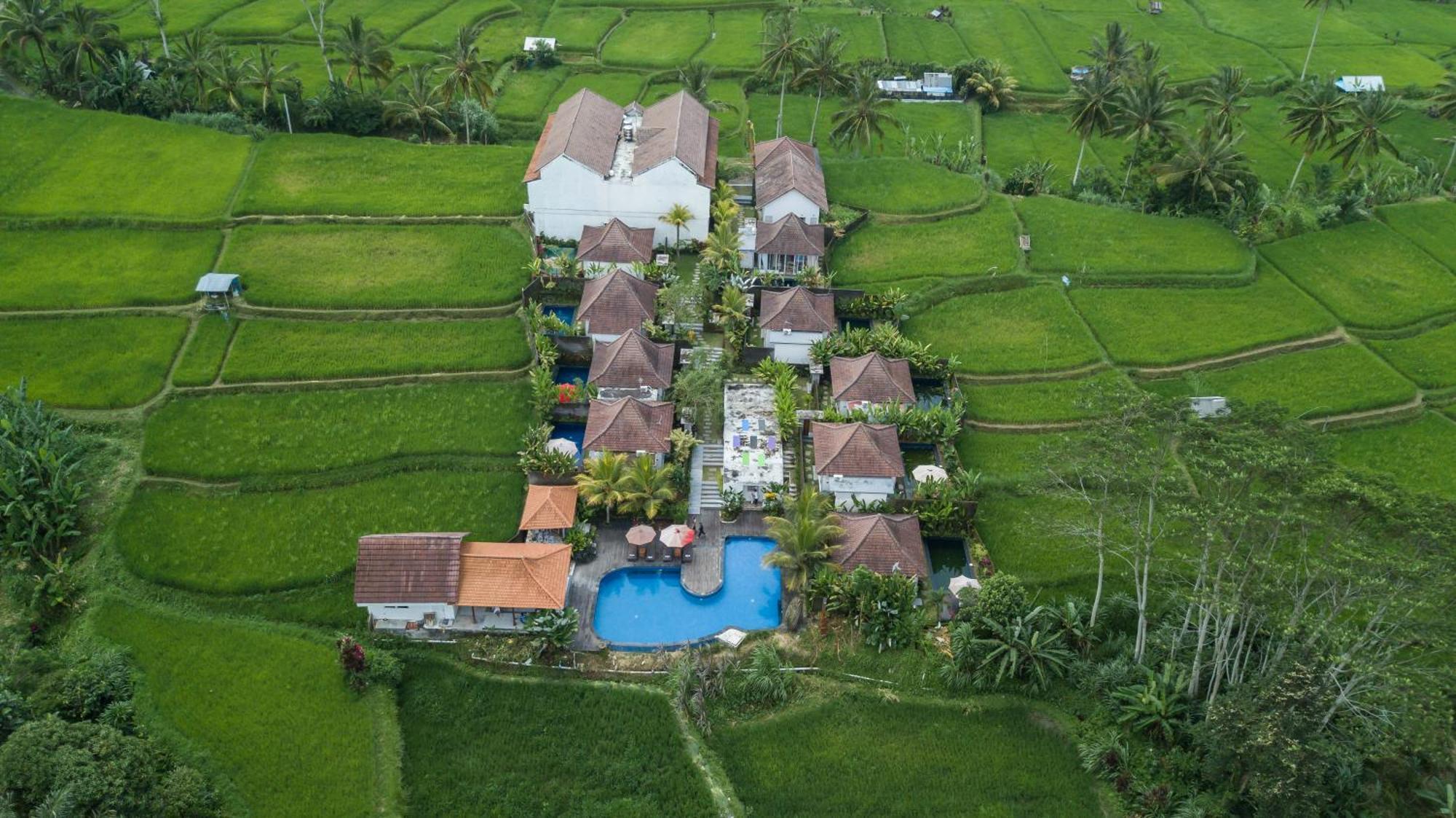 Hotel Tanta Escape Tegallalang  Exteriér fotografie