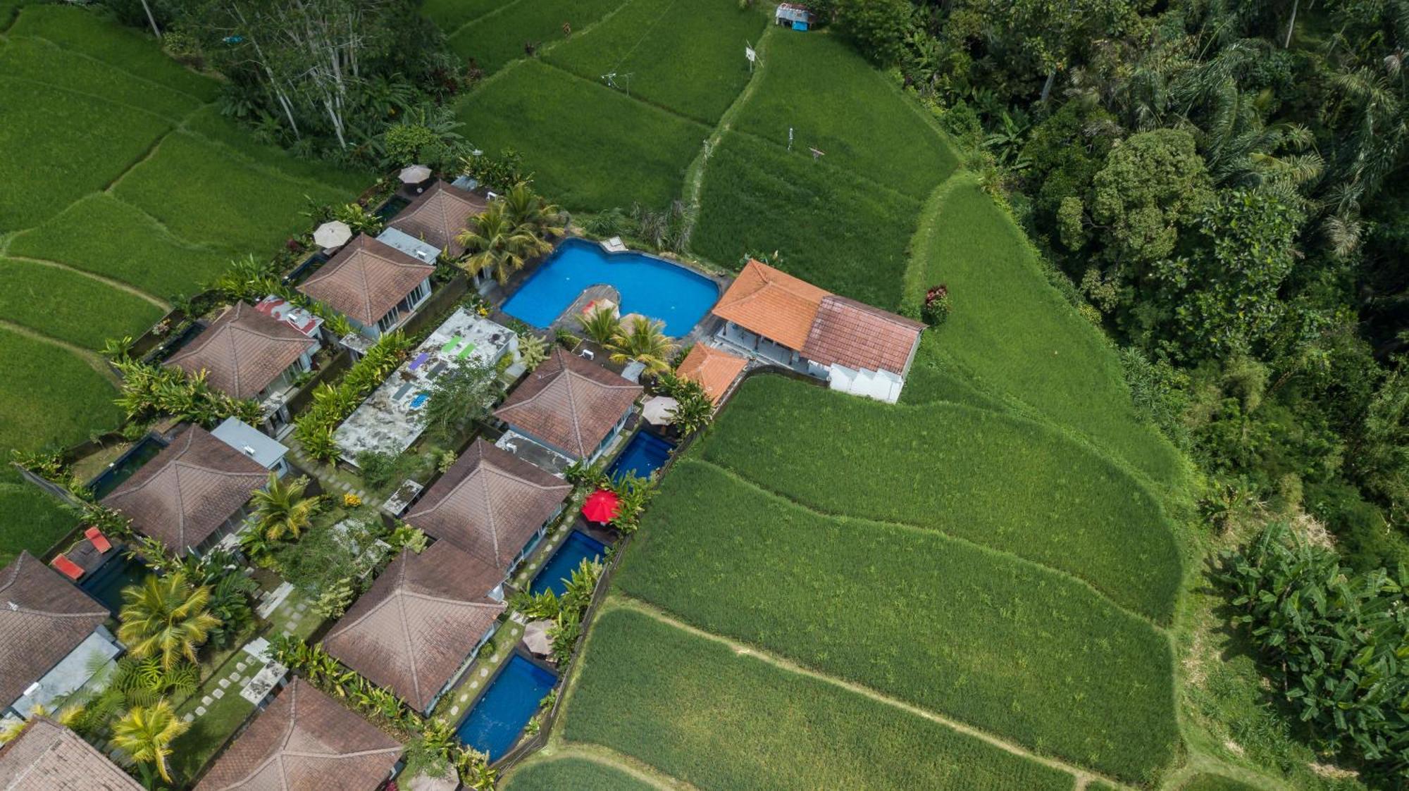 Hotel Tanta Escape Tegallalang  Exteriér fotografie
